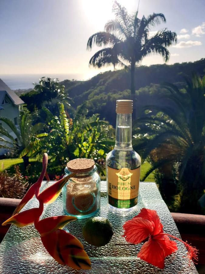 Gite 4 Etoiles, La Vieille Sucrerie St Claude Guadeloupe, Jacuzzi Spa Privatif, Vue Exceptionnelle Sur La Mer Des Caraibes Basse-Terre Zewnętrze zdjęcie