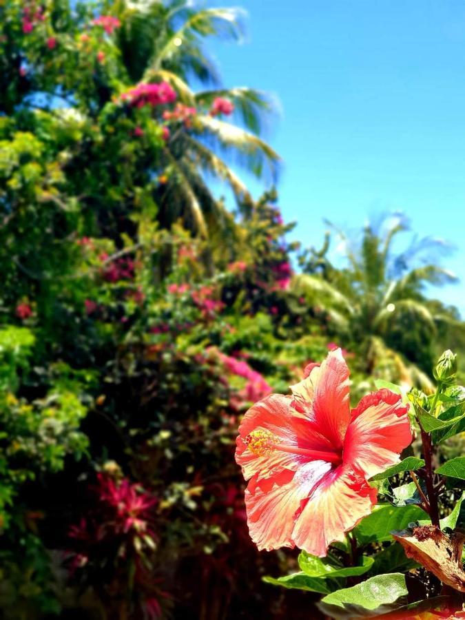 Gite 4 Etoiles, La Vieille Sucrerie St Claude Guadeloupe, Jacuzzi Spa Privatif, Vue Exceptionnelle Sur La Mer Des Caraibes Basse-Terre Zewnętrze zdjęcie