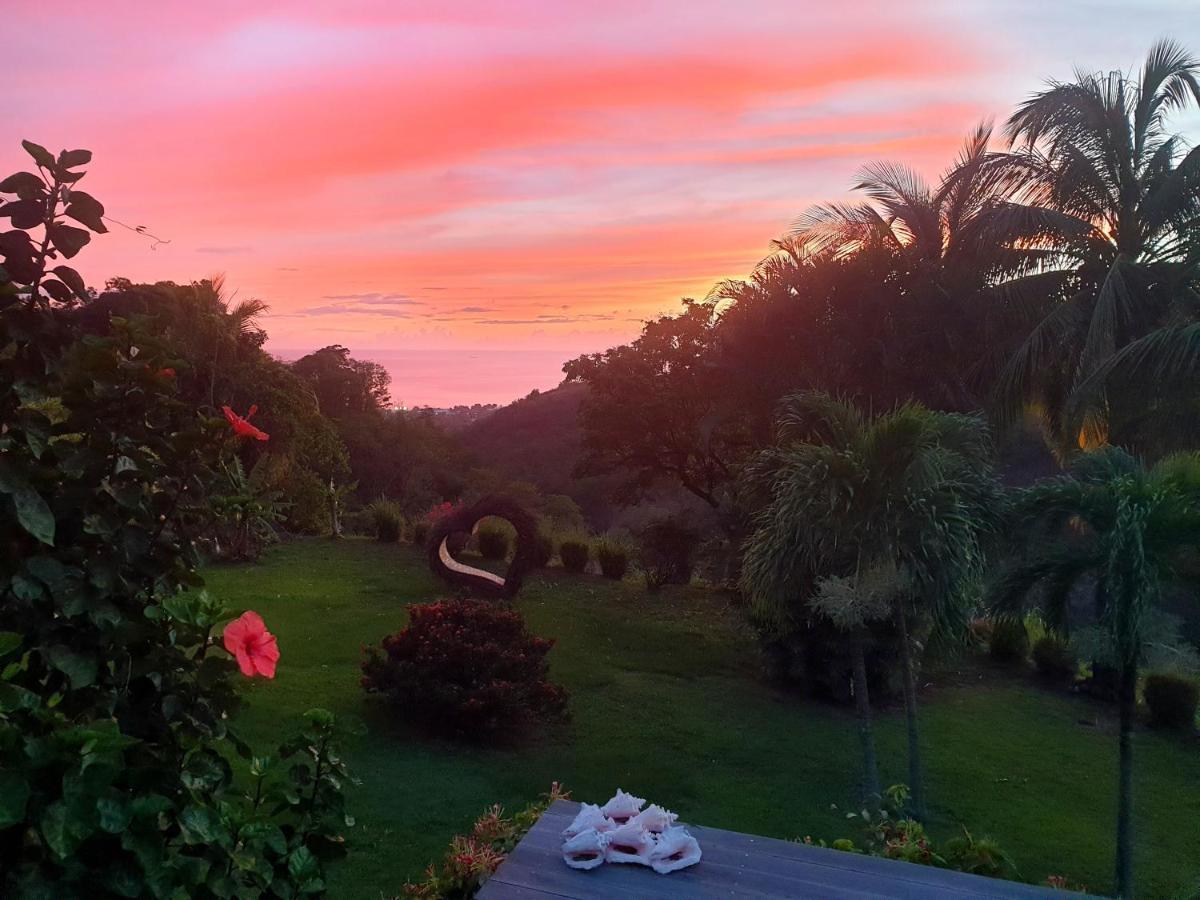 Gite 4 Etoiles, La Vieille Sucrerie St Claude Guadeloupe, Jacuzzi Spa Privatif, Vue Exceptionnelle Sur La Mer Des Caraibes Basse-Terre Zewnętrze zdjęcie