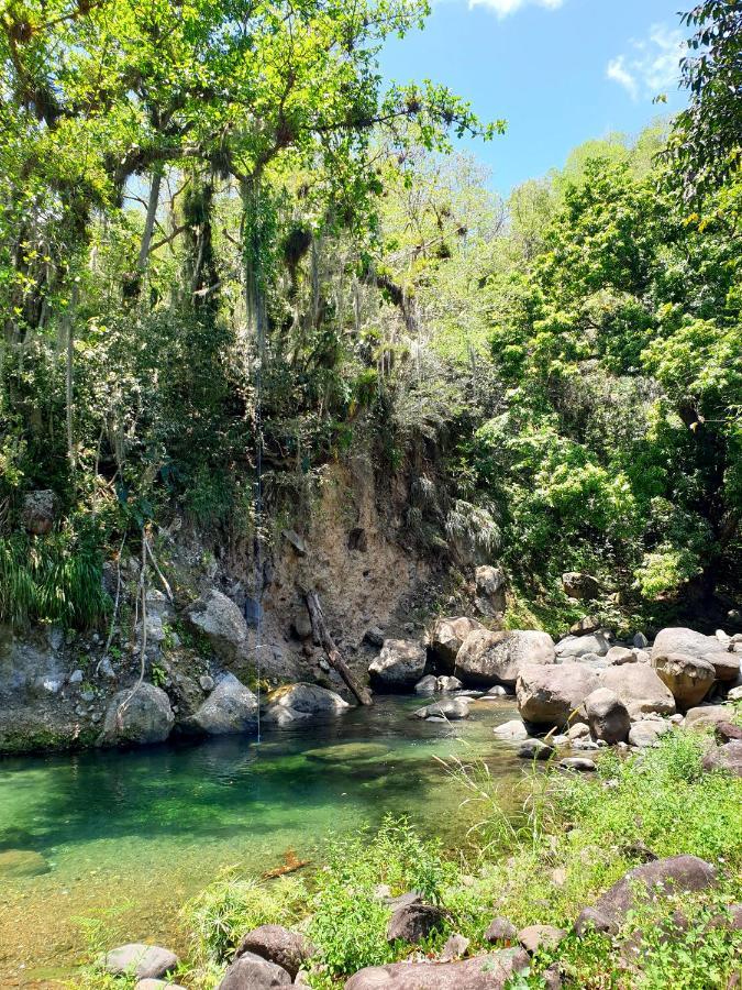 Gite 4 Etoiles, La Vieille Sucrerie St Claude Guadeloupe, Jacuzzi Spa Privatif, Vue Exceptionnelle Sur La Mer Des Caraibes Basse-Terre Zewnętrze zdjęcie