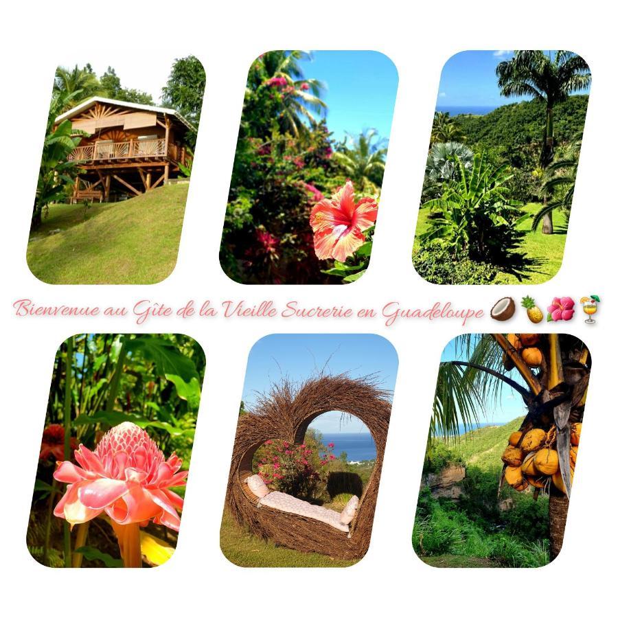 Gite 4 Etoiles, La Vieille Sucrerie St Claude Guadeloupe, Jacuzzi Spa Privatif, Vue Exceptionnelle Sur La Mer Des Caraibes Basse-Terre Zewnętrze zdjęcie