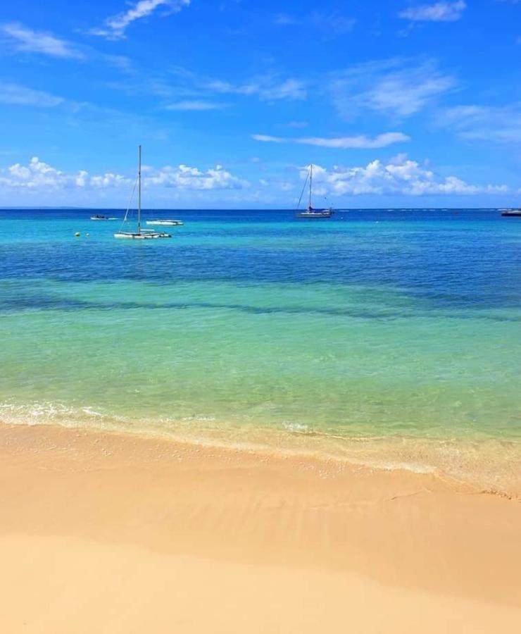 Gite 4 Etoiles, La Vieille Sucrerie St Claude Guadeloupe, Jacuzzi Spa Privatif, Vue Exceptionnelle Sur La Mer Des Caraibes Basse-Terre Zewnętrze zdjęcie