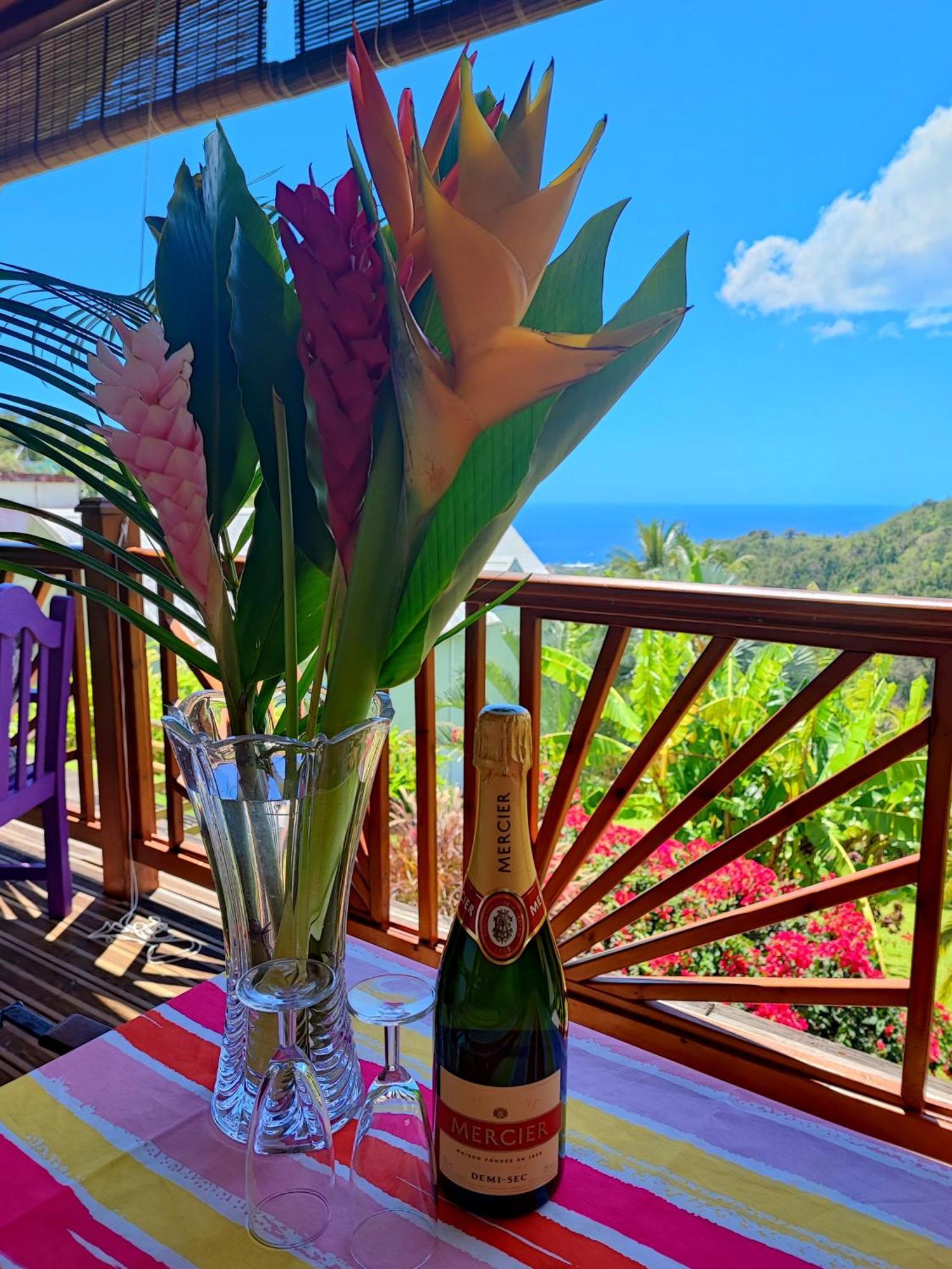 Gite 4 Etoiles, La Vieille Sucrerie St Claude Guadeloupe, Jacuzzi Spa Privatif, Vue Exceptionnelle Sur La Mer Des Caraibes Basse-Terre Zewnętrze zdjęcie